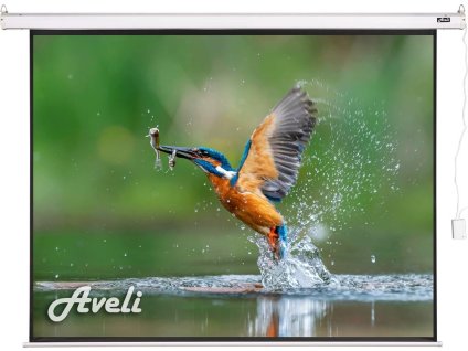 Elektrické projekční plátno AVELI, 240x180 (4:3) 118"