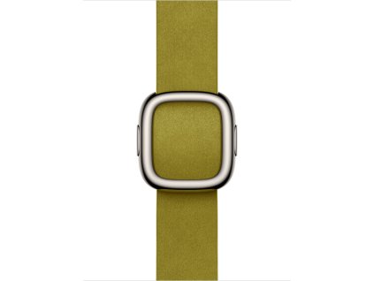 Watch Acc/42/Chartreuse Modern Buckle - Medium