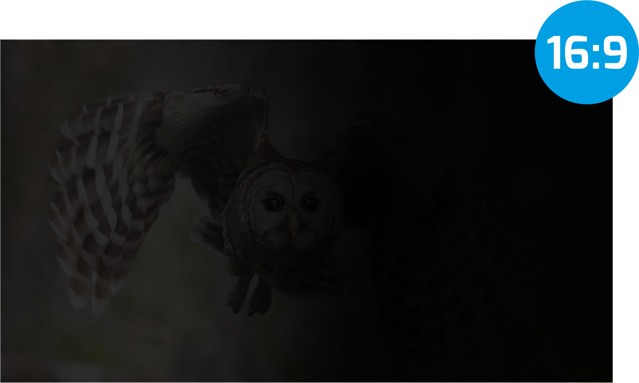 Privátní filtr Natec Owl 21,5" 16:9