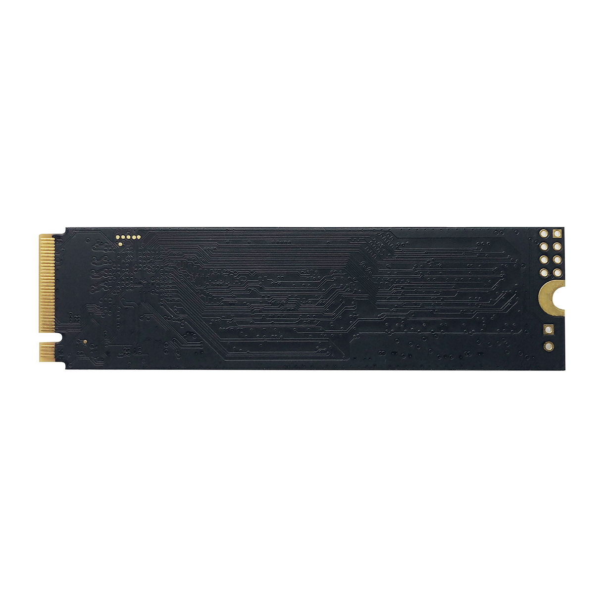 PATRIOT P310/480GB/SSD/M.2 NVMe/5R