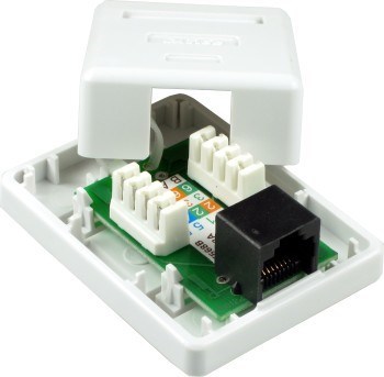 OEM Zásuvka UTP 1x RJ45 Cat5E, dvojitá svorkovnica, sadrokartón