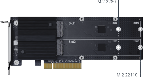 Synology M2D20