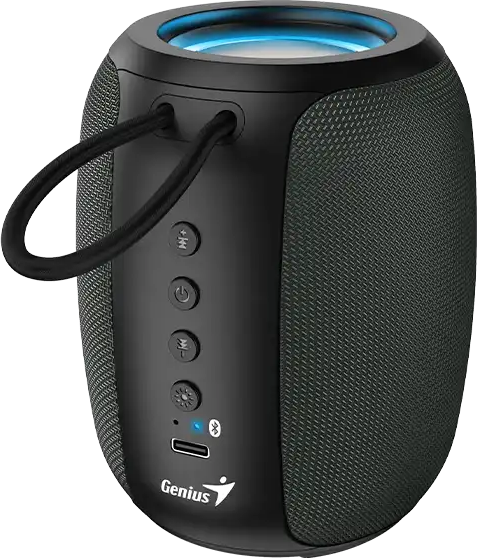 GENIUS repro SP-915BT Grey