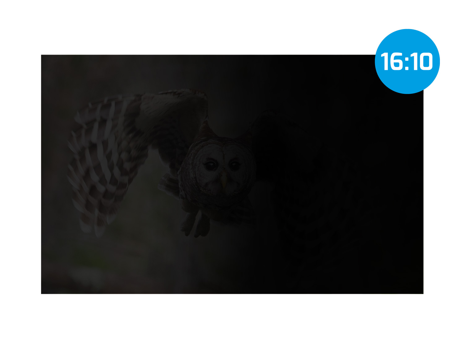 Privátní filtr Natec Owl 14" 16:9