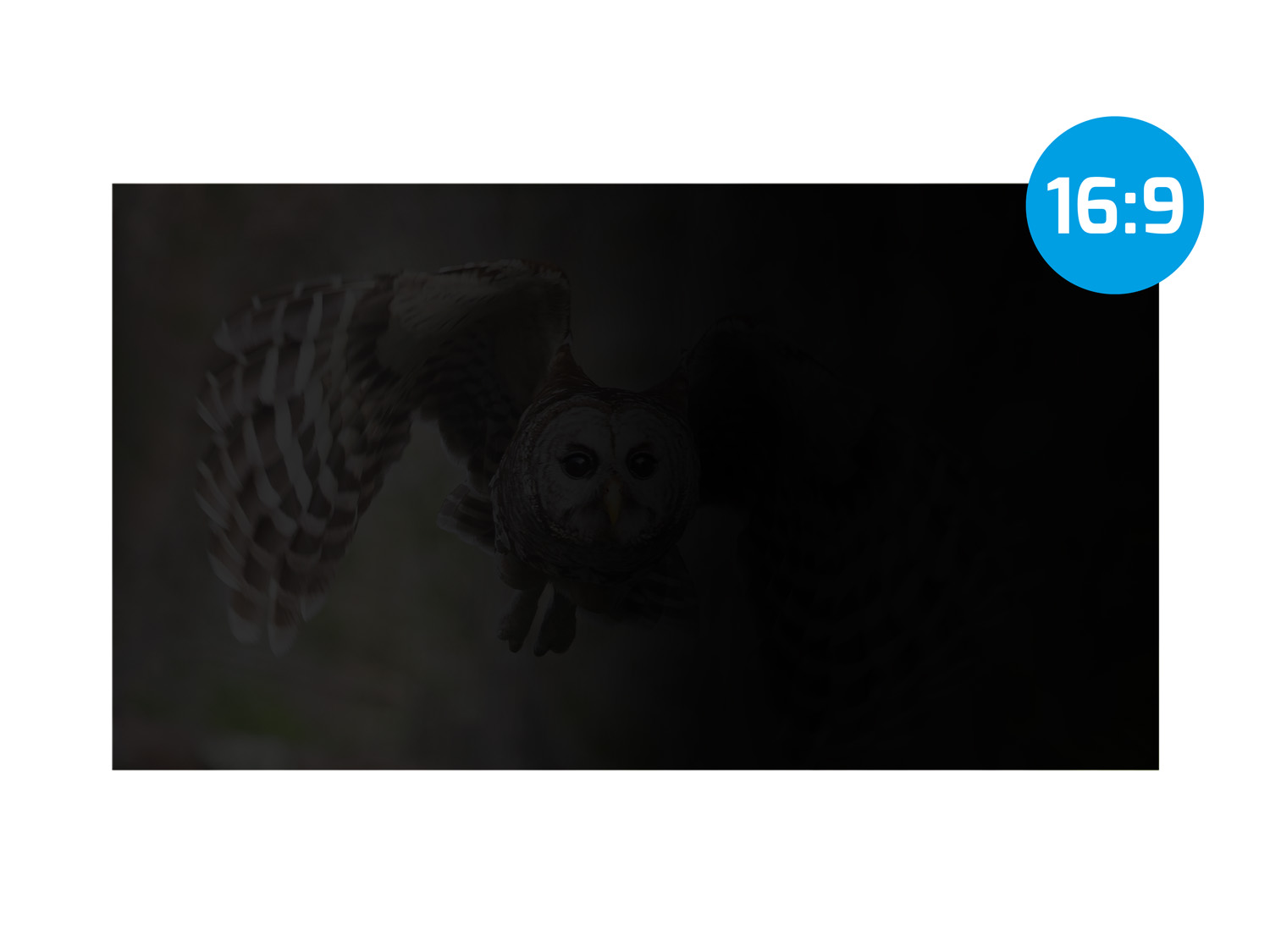 Privátní filtr Natec Owl 15,6" 16:9