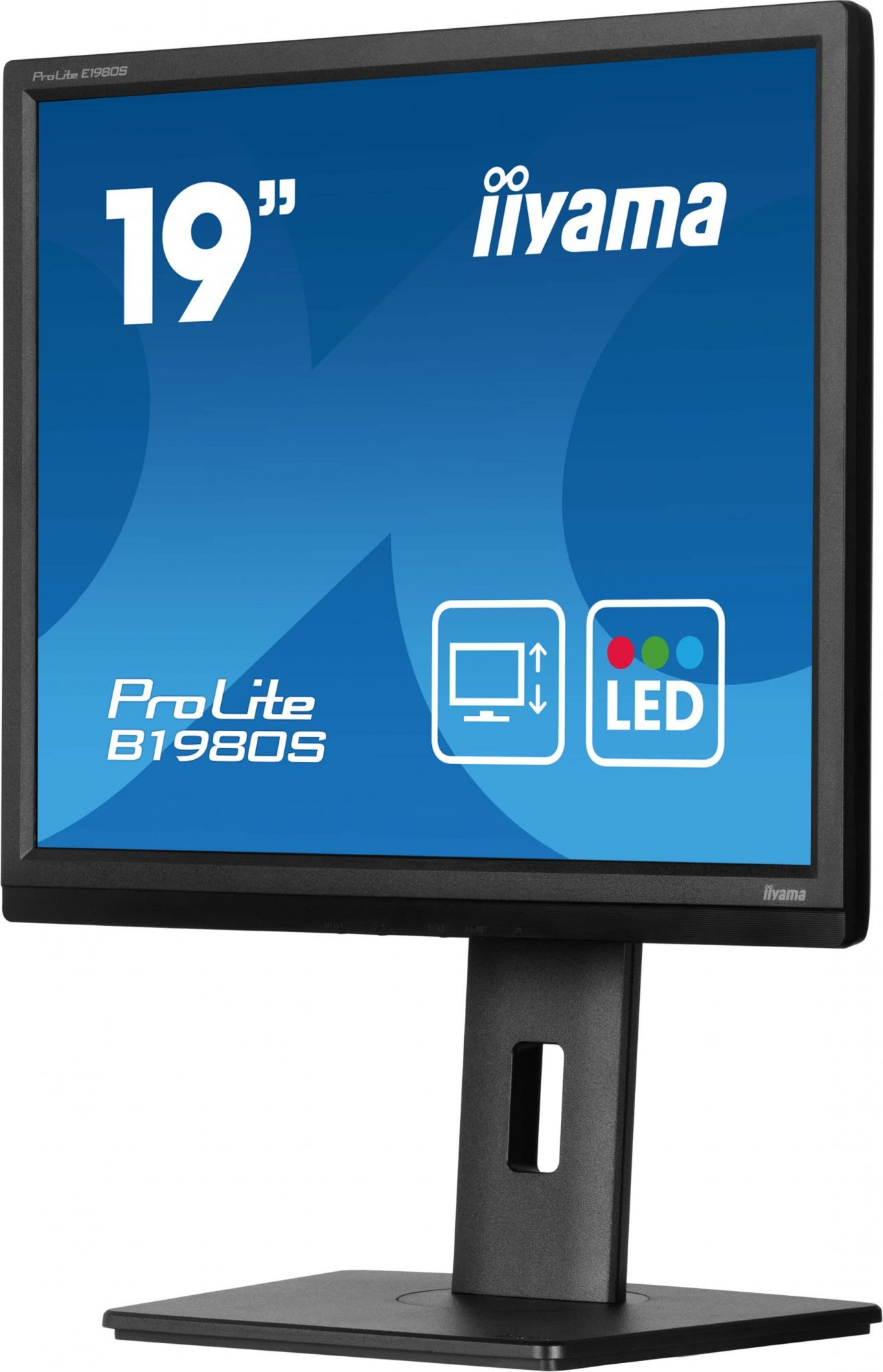 iiyama ProLite/B1980S-B1/19"/TN/1280x1024/75Hz/3ms/Black/3R