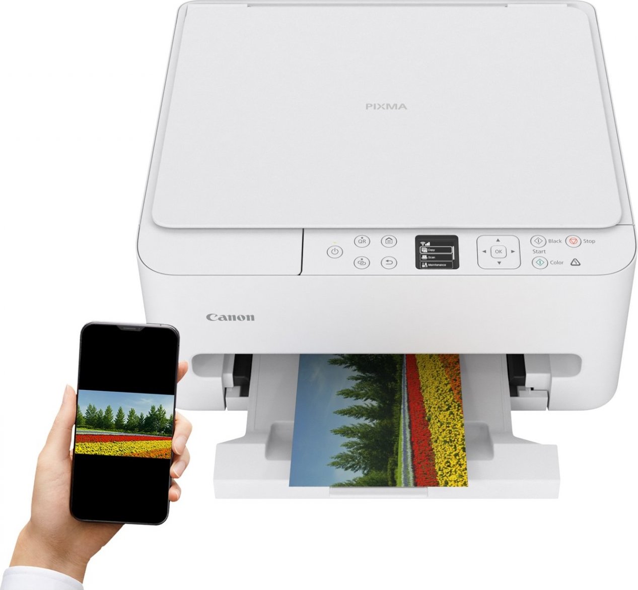 Canon PIXMA Tiskárna TS6550i - barevná, MF (tisk,kopírka,sken,cloud), display, duplex, USB, Wi-Fi