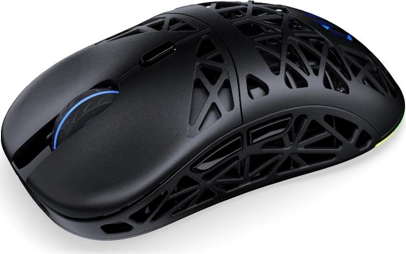 Endorfy Herní myš LIV Wireless, Bezdrátová, ARGB, černá