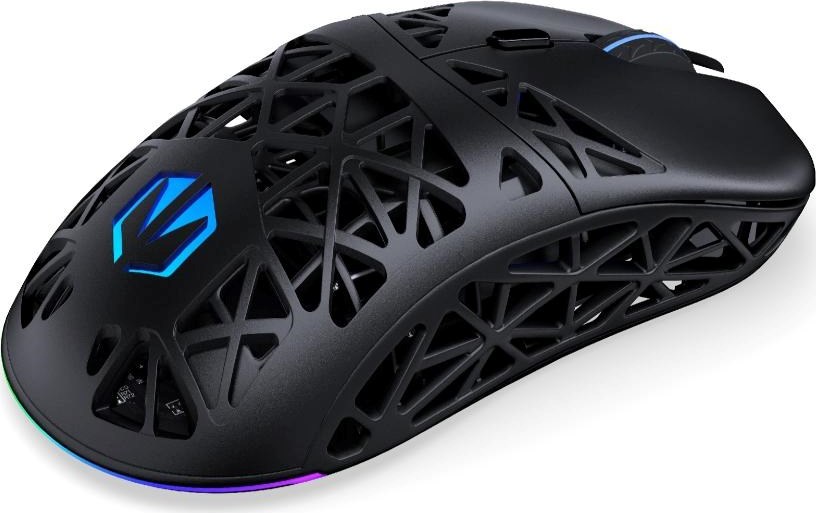 Endorfy Herní myš LIV Wireless, Bezdrátová, ARGB, černá