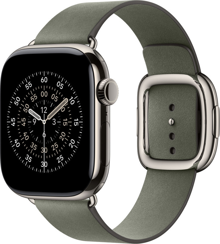 Apple Watch Acc/42/Sage Gray Modern Buckle - M