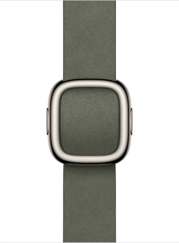 Apple Watch Acc/42/Sage Gray Modern Buckle - M
