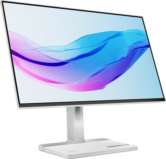 Lenovo Lenovo/L24m-4A/23,8"/IPS/FHD/100Hz/1ms/Gray/3R