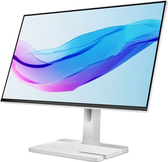 Lenovo Lenovo/L24m-4A/23,8"/IPS/FHD/100Hz/1ms/Gray/3R