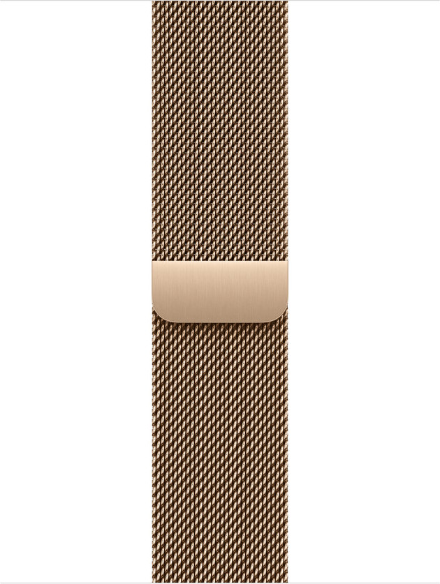 Apple Watch Acc/40/Gold Milanese Loop