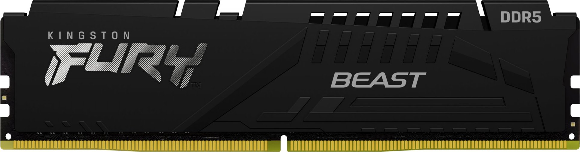 KINGSTON DIMM DDR5 16GB 6000MT/s CL36 FURY Beast Černá EXPO