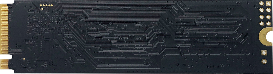 PATRIOT P310/960GB/SSD/M.2 NVMe/5R