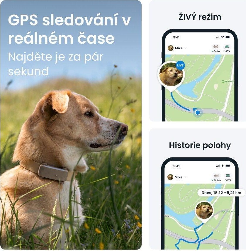 NoName Tractive DOG 6 – GPS lokátor pro psy a monitor zdraví, hnědý