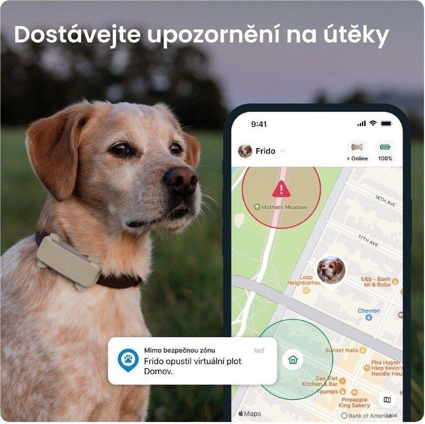 NoName Tractive DOG 6 – GPS lokátor pro psy a monitor zdraví, hnědý