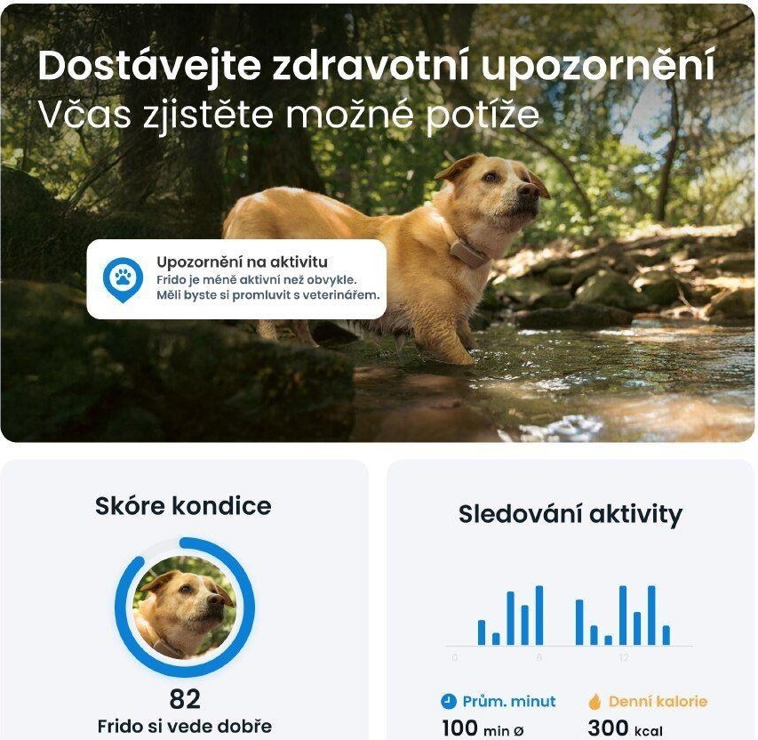 NoName Tractive DOG 6 – GPS lokátor pro psy a monitor zdraví, hnědý