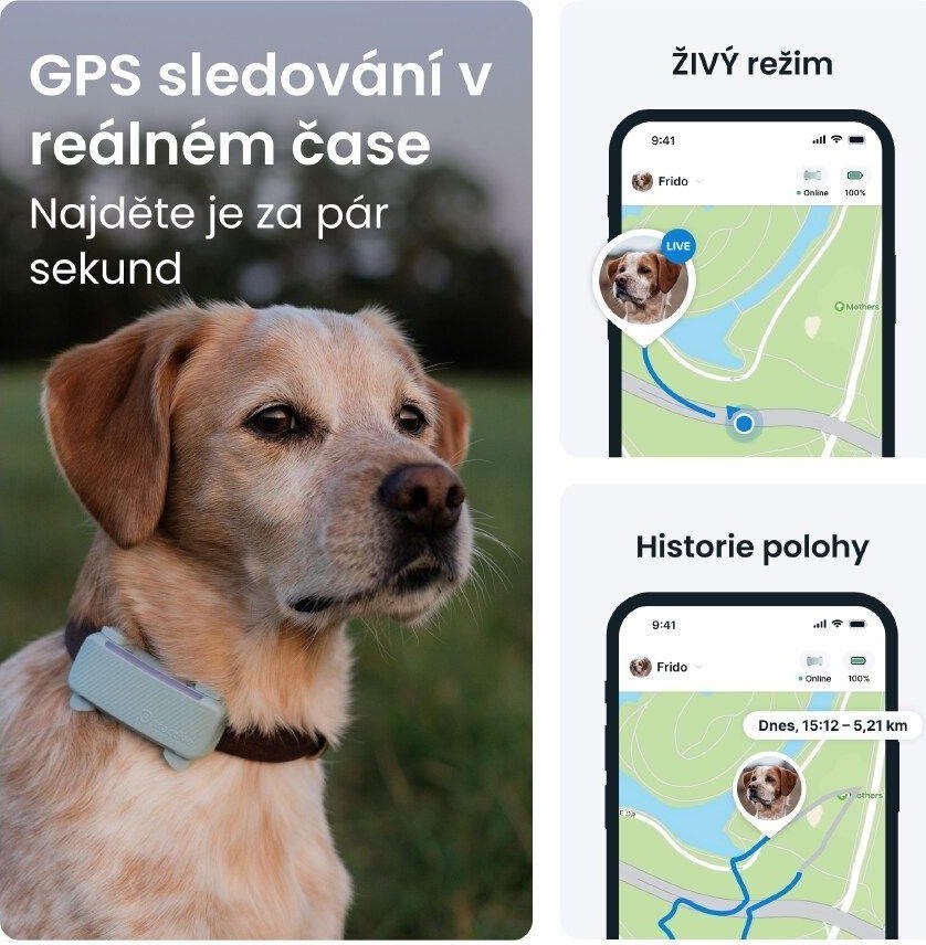 NoName Tractive DOG 6 – GPS lokátor pro psy a monitor zdraví, mátový