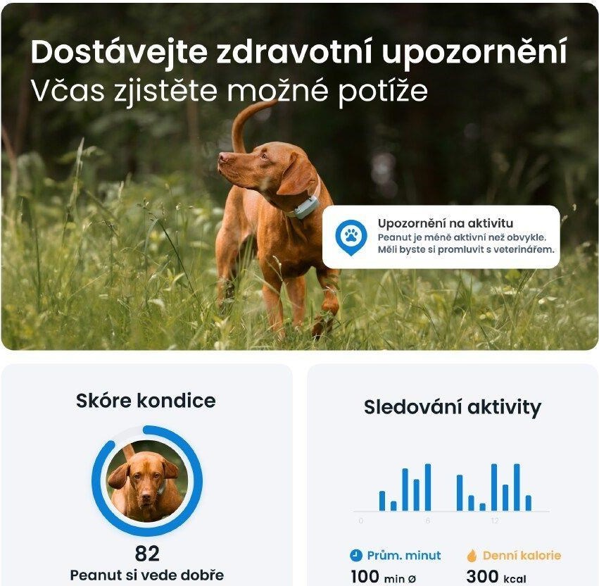 NoName Tractive DOG 6 – GPS lokátor pro psy a monitor zdraví, mátový