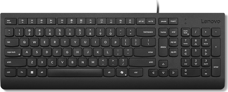 LENOVO Essential Wired Keyboard Black Czech/Slovakia