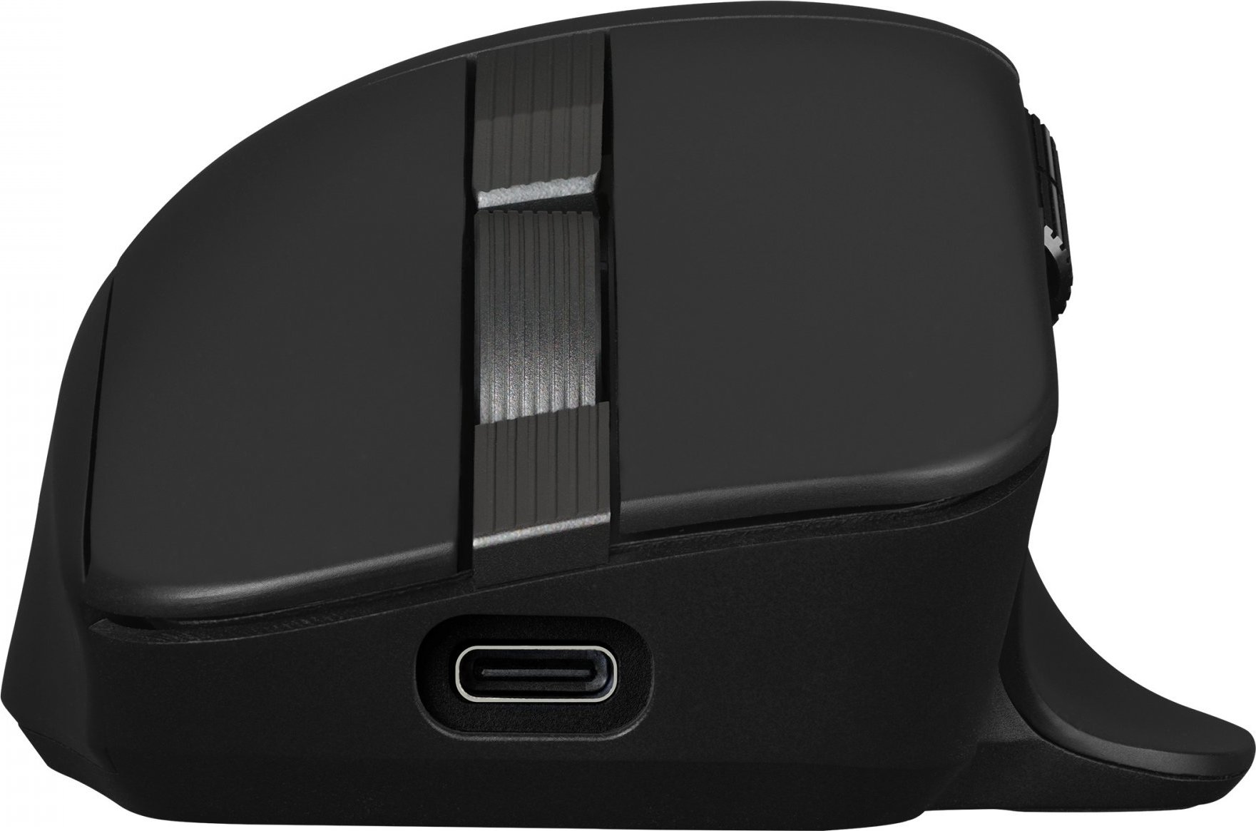 ASUS ProArt MD301/Ergonomická/Optická/Pro praváky/8 000 DPI/Drátové/Bezdrátové/Černá