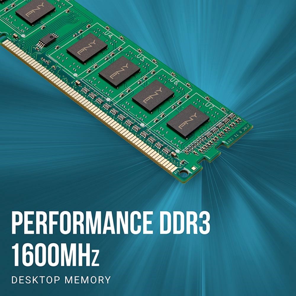 PNY DIMM DDR3 8GB 1600MHz CL11