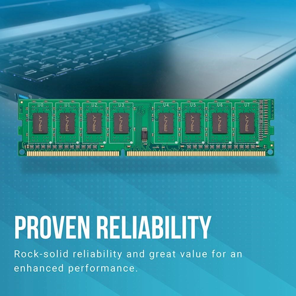PNY DIMM DDR3 8GB 1600MHz CL11