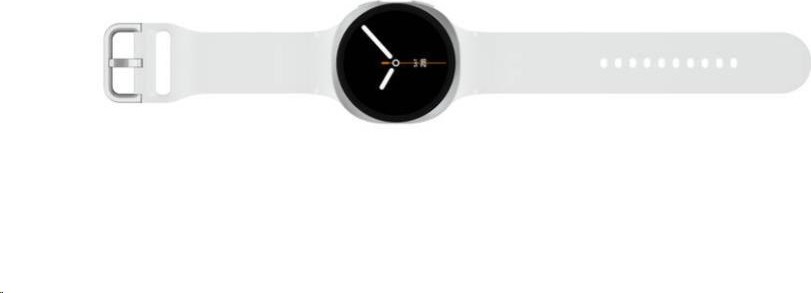 Samsung Galaxy Watch8 (44mm) stříbrná, EU