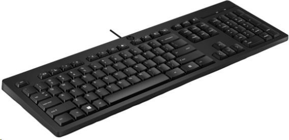HP Inc. HP 125 Wired Keyboard - Česká