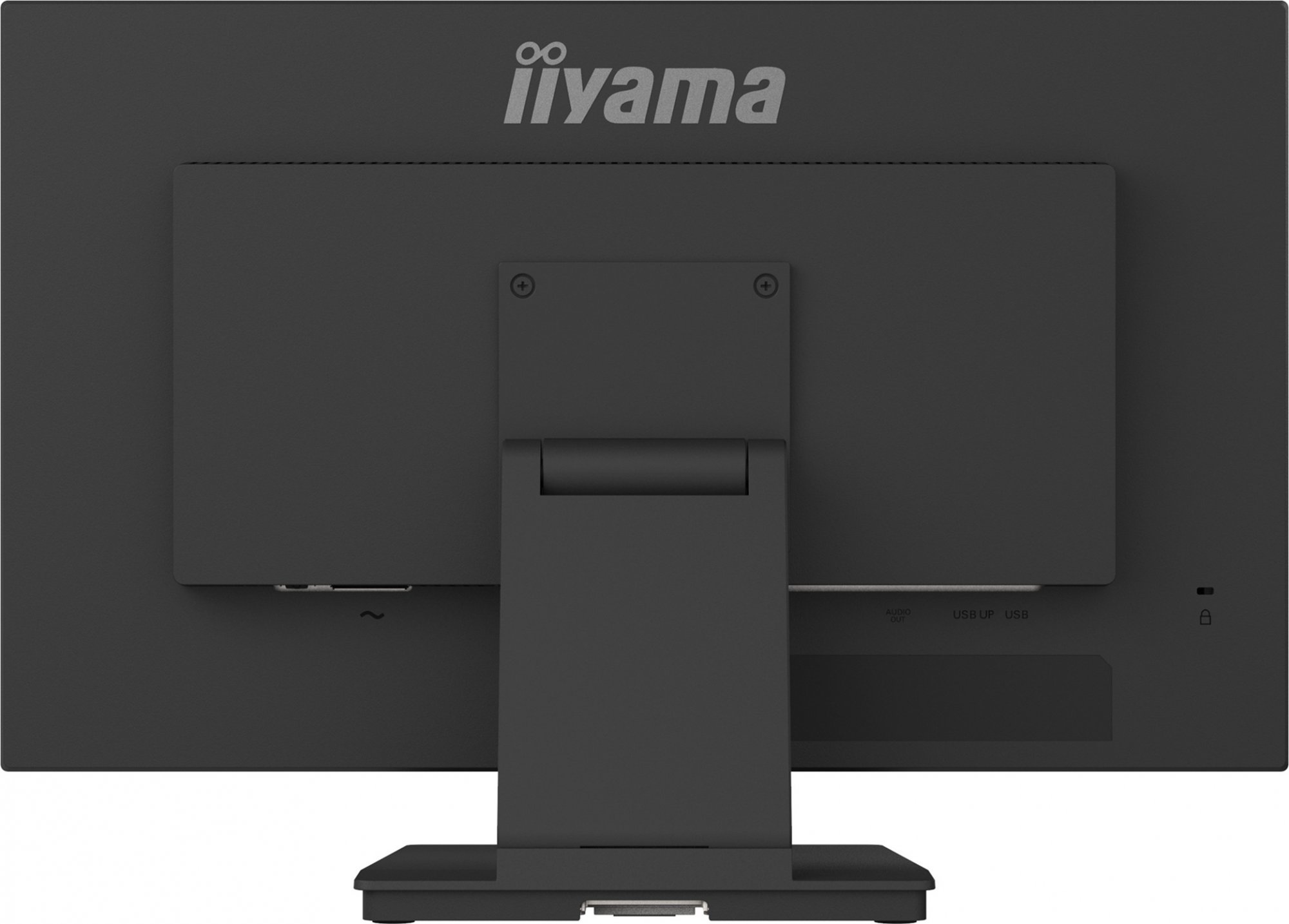 Iiyama ProLite T2454MSC-B3AG, Projected Capacitive, 10 TP, Full HD, USB, kit (USB), black