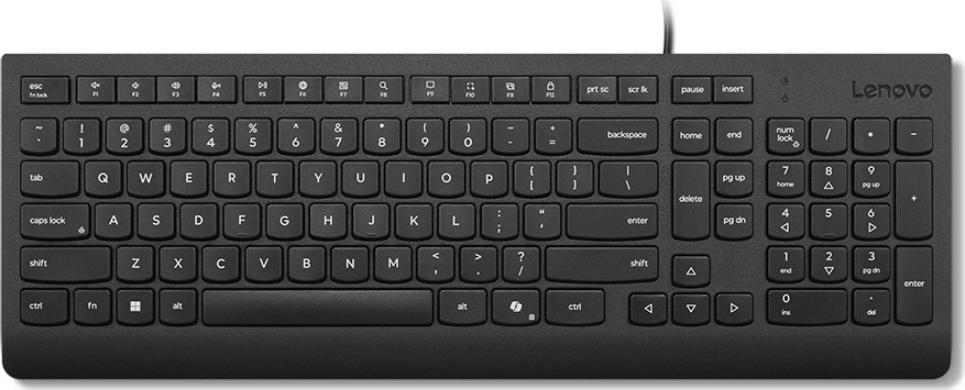 Lenovo Essential Wired Keyboard (Black) - Slovak 245/PS/2/SK/Černá