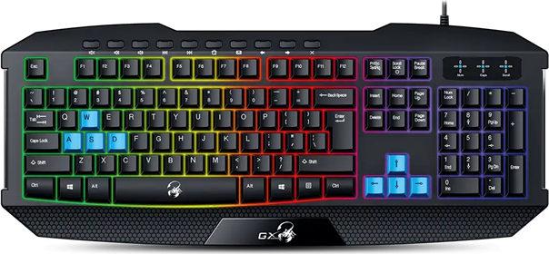 Klávesnice GENIUS K215 USB CZ+SK black + Copilot