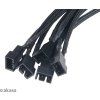 AK CBFA03 45 g02