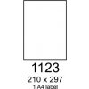 etikety RAYFILM 210x297 vysokolesklé biele laser R01191123C (20 list./A4)