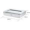 Skener EPSON WorkForce DS-50000, A3, 600x600 dpi, USB 2.
