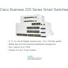 Cisco switch CBS220-48T-4G (48xGbE,4xSFP) - REFRESH
