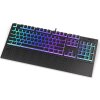 Endorfy herní klávesnice Omnis Pudd.Kaihl BL RGB /USB/ blue switch / drátová / mechanická / US layout / černá RGB