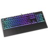 Endorfy herní klávesnice Omnis Pudd.Kaihl BL RGB /USB/ blue switch / drátová / mechanická / US layout / černá RGB
