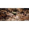 TS004 1000 09