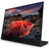 ThinkVision M14t 2