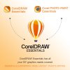 CorelDRAW Essentials 2024 Multi Language - Windows - ESD