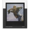 Polaroid Go Film Double Pack 16 photos - Black Frame