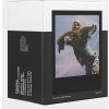 Polaroid Go Film Double Pack 16 photos - Black Frame