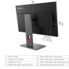 LENOVO LCD ThinkVision P27q-40- 27",IPS,mat,16:9,2560x1440,178/178,4/6ms,350cd/m2,1500:1,CAM,DP,HDMI,PIVOT,VESA,3Y