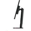 LENOVO LCD ThinkVision T32p-30-31.5"  IPS,matný,16:9,3840x2160,178/178,6ms,350cd,1000:1,HDMI,DP,VESA,PIVOT,3Y