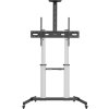 MANHATTAN Pojizdný Držák na TV, 60" - 100", šedá