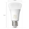 Philips Hue White Ambiance 8W 1100 E27 starter kit