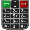 EVOLVEO Mobilní telefon pro seniory s nabíjecím stojánkem EasyPhone FL, stříbrná